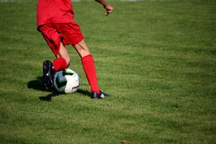 mk体育登录-中国青少年篮球运动员伤病防控体系建设，青少年篮球训练现状分析